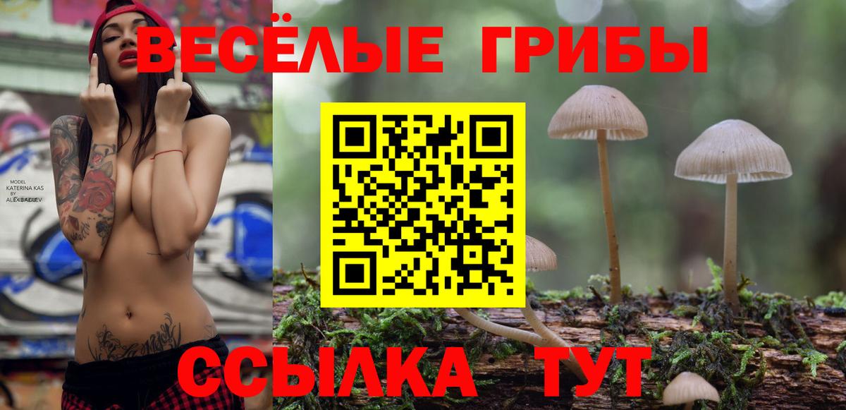 Красноуфимск  Псилоцибиновые грибы Magic Shrooms  Псилоцибиновые грибы прущие грибы  Вход с VPN 