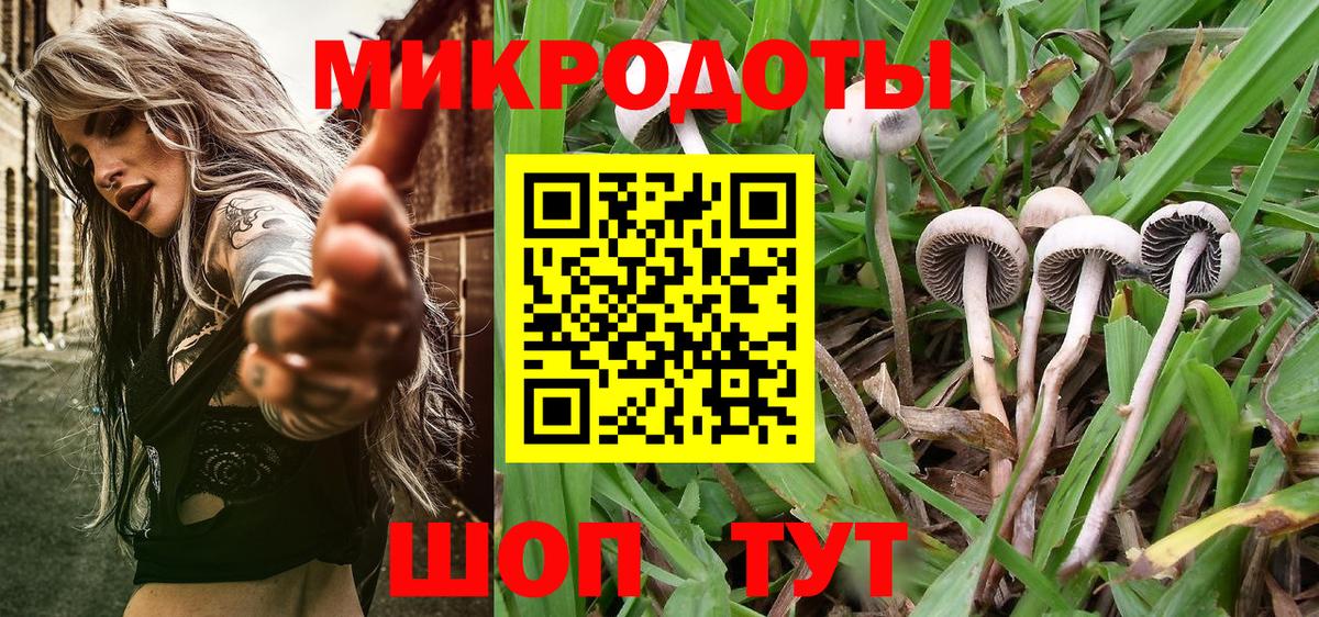 Псилоцибиновые грибы Magic Shrooms Красноуфимск